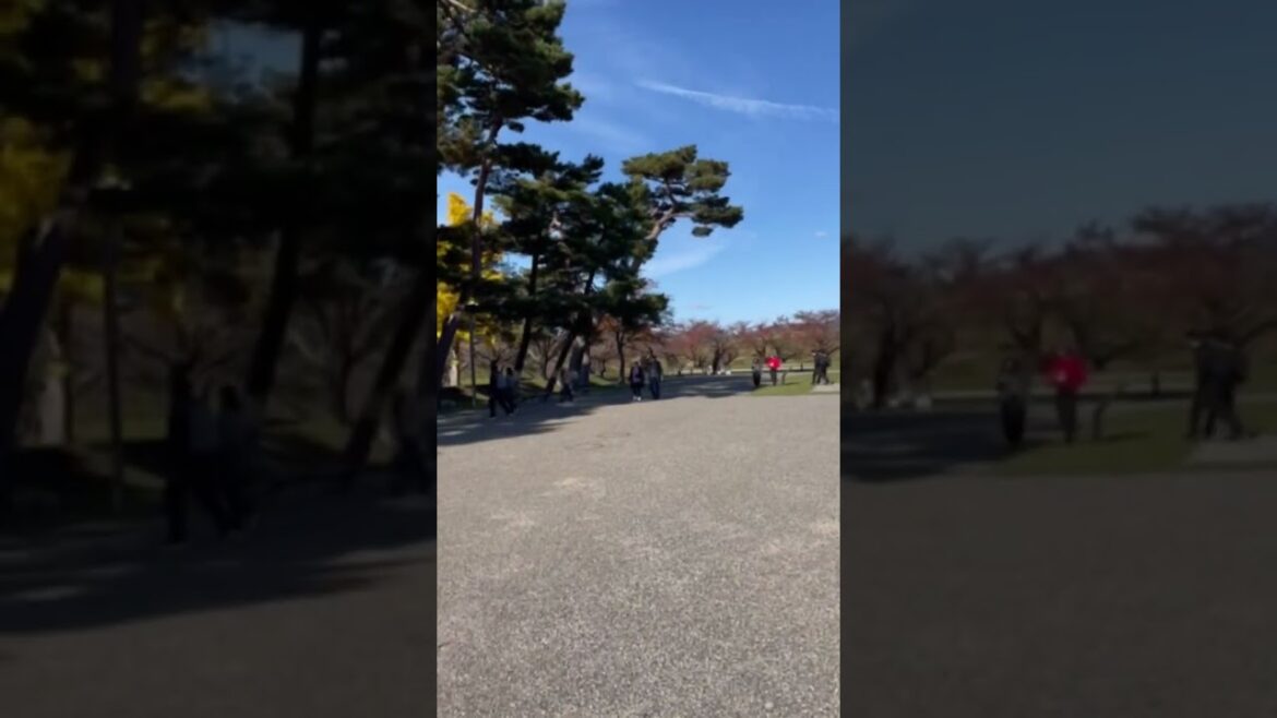 【HOKKAIDO】Must-See Tourist Attraction - Torapischinu Shudoin