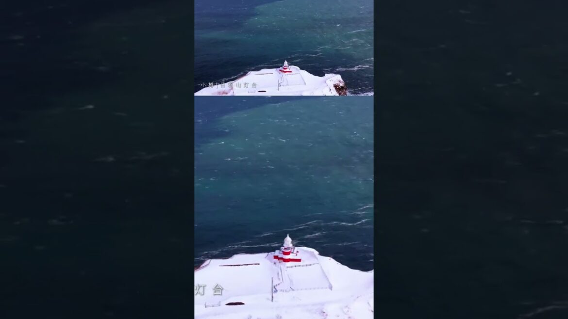 （视频切片）北海道小樽之旅，原视频链接见置顶评论 #otaru #hokkaido #北海道 #小樽 #snow