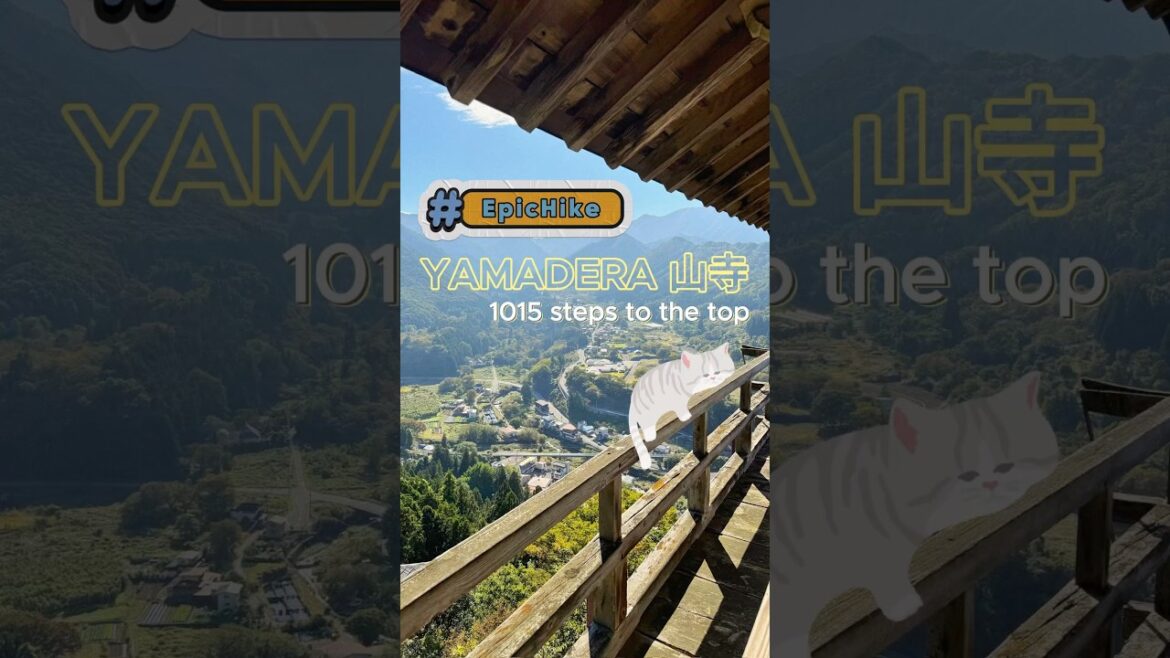DAT VIEW THO 🤯 #japantravel #travelvlog #epicmoments #hikingadventures