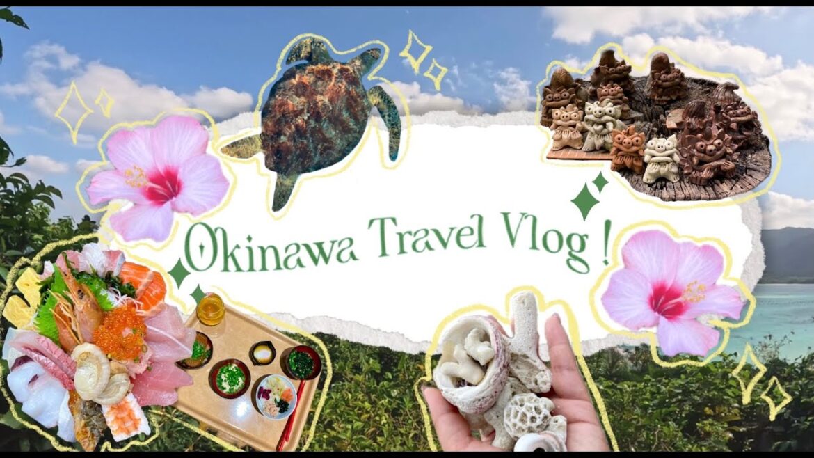 OKINAWA JAPAN VLOG | 3 days in okinawa, snorkeling, cave tours, churami aquarium OKINAWA JAPAN VLOG | 3 days in okinawa, snorkeling, cave tours, churami aquarium