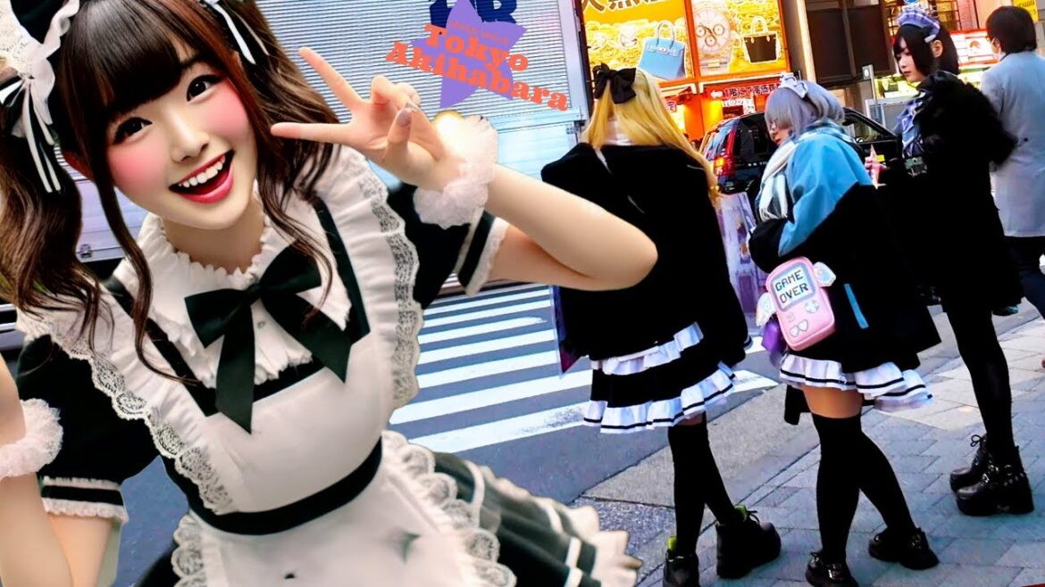 Tokyo Akihabara🐶Gothic Town♪💖4K non-stop 1 hour