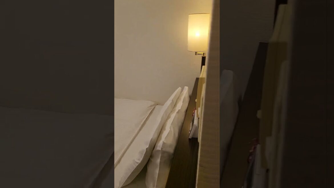 APA Hotel Sendai #japantouristguide #travelingalt #subteacherinjapan #businesshotel #sendaicity