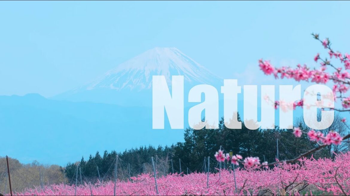(Expo 2025 Teaser) Discover Yamanashi: A Land of Beauty, Cuisine & Innovation (Expo 2025 Teaser) Discover Yamanashi: A Land of Beauty, Cuisine & Innovation