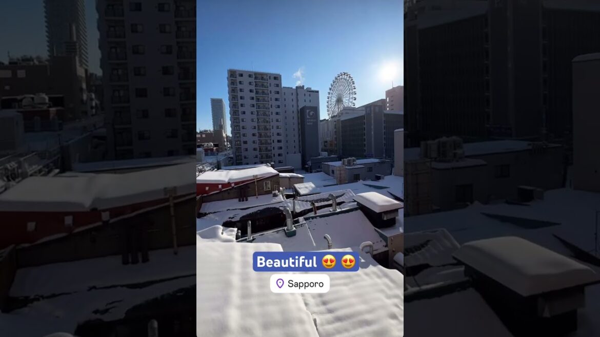 Sapporo is so beautiful in winter #witness #winterseason #snowfall #sapporo #hokkaido #japan #short