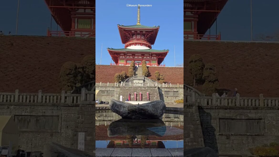 #成田山新勝寺 #shinshoji #소원