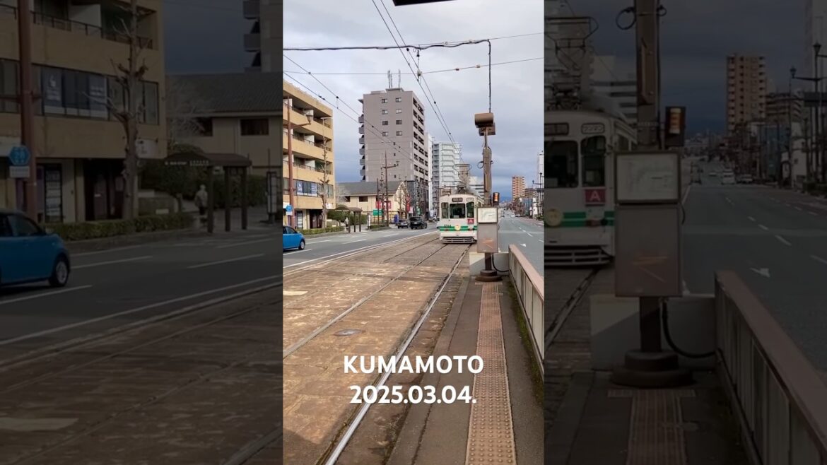 Kumamoto 구마모토 2025.03.05.