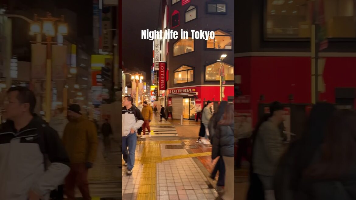 Tokyo night explore #travel #tokyo #shorts #japan @TravelTrackers16 #nightlife #shinjuku
