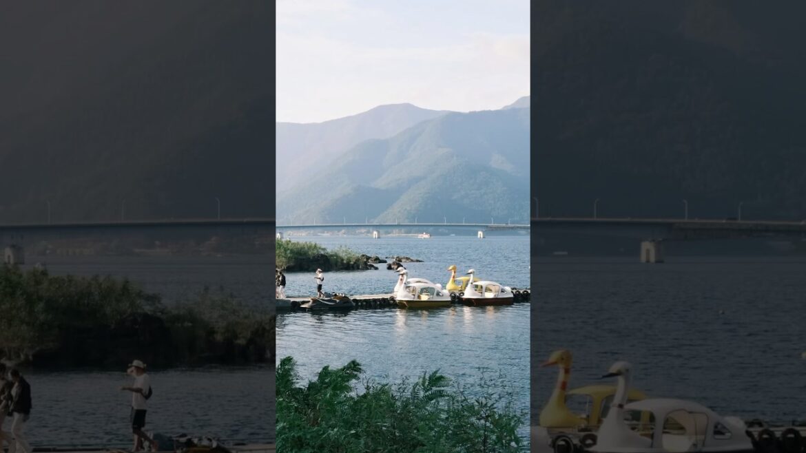 This Photo Spot is a Hidden Gem – Spot Hunt ep.4 This Photo Spot is a Hidden Gem - Spot Hunt ep.4