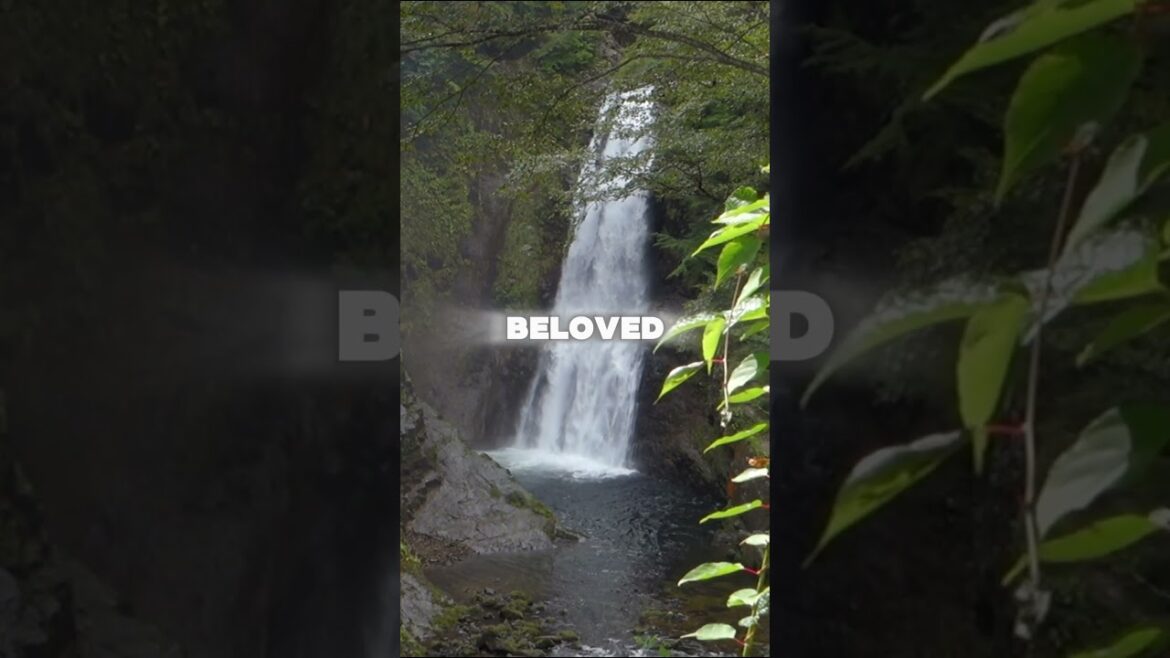 Akiu Falls – The Majestic Waterfall of Sendai #miyagi #sendai #waterfall #historyshorts