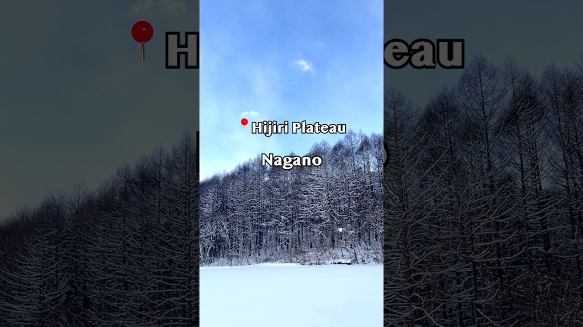 ⛄️❄️Hijiri Plateau – Nagano (聖高原 – 長野)
