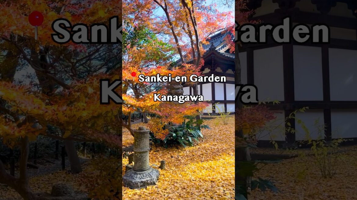 🍁 Sankei-en Garden - Kanagawa
