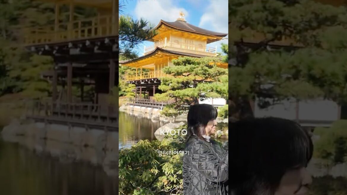 ★SHORTS046 교토의 금각사 #JAPAN #KYOTO #금각사 #교토신사 #temple ★SHORTS046 교토의 금각사 #JAPAN #KYOTO #금각사 #교토신사 #temple