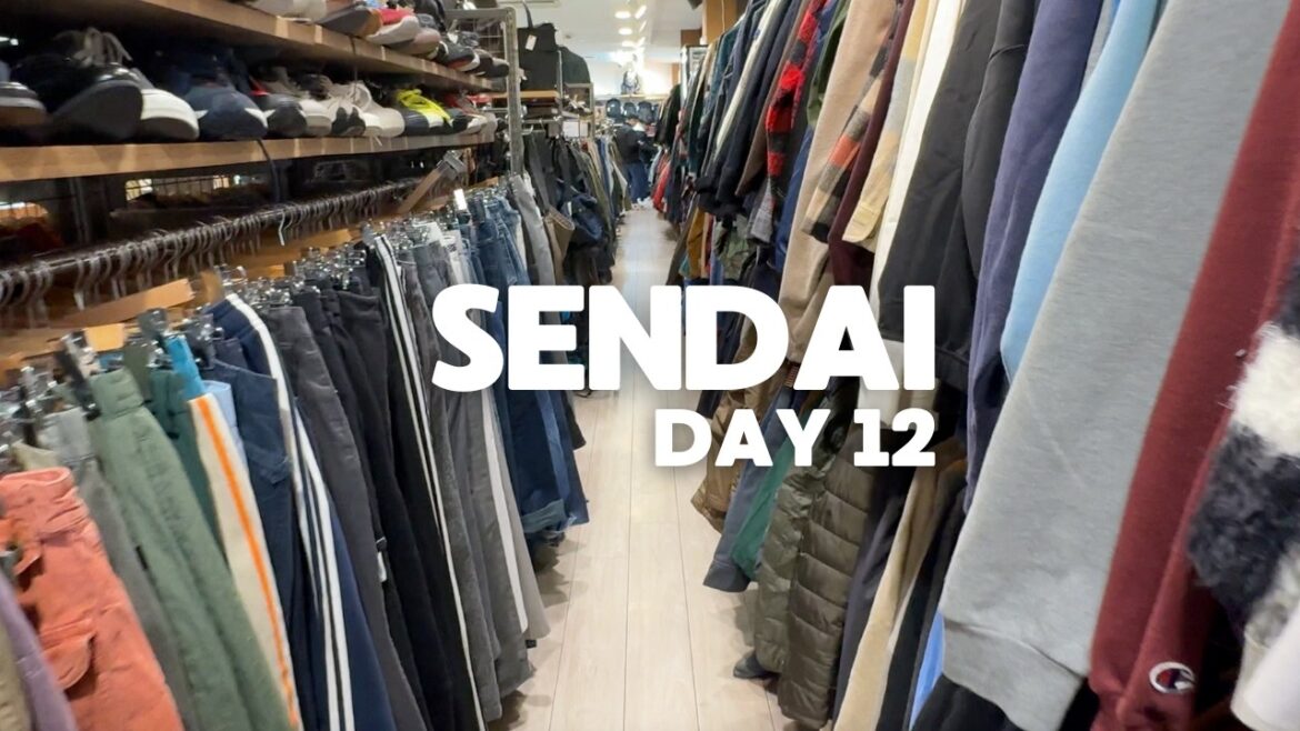 Giornata di FREDDO in Giappone | Sendai #12