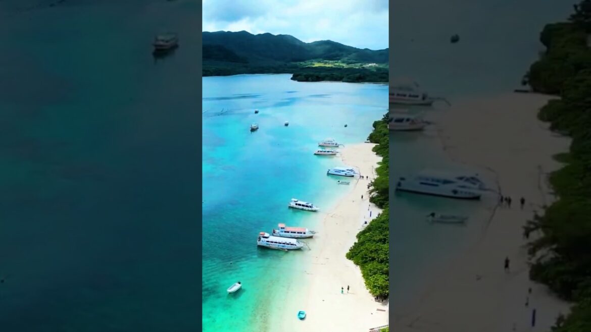 So Beautiful Okinawa – A Must-Visit Travel Paradise! 🌸🎌⛩️🍣🍜