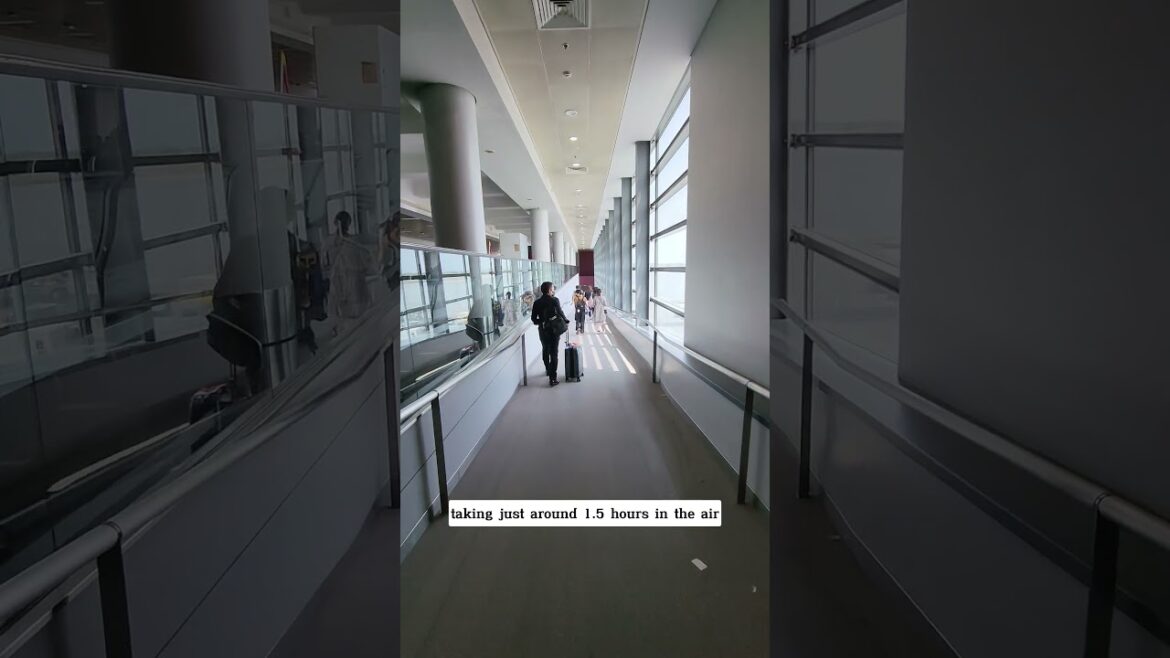 Ways to travel from Tokyo to Osaka and Kyoto 🇯🇵