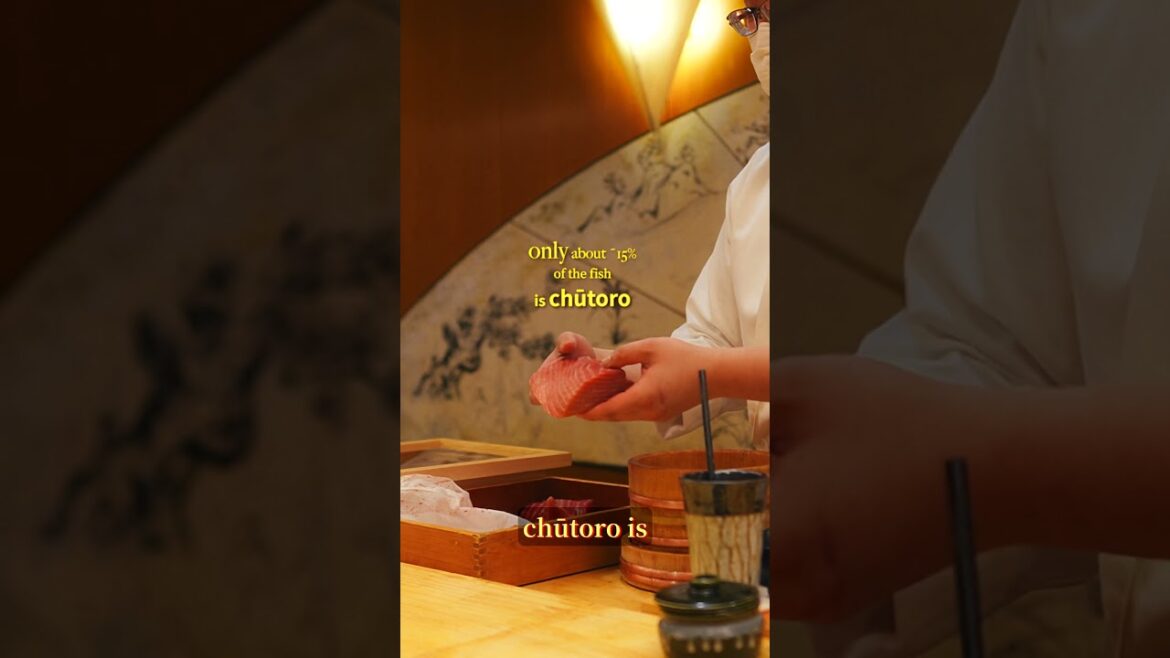 What a 500 pound bluefin tuna looks like as sushi (the rarer cut) What a 500 pound bluefin tuna looks like as sushi (the rarer cut)