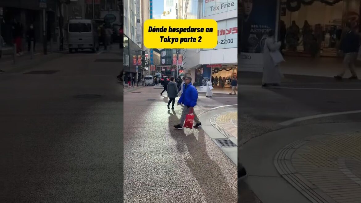 Dónde hospedarse en Tokyo Parte 2 #apt #shinjuku #tokyo #travel #tokyocityview #sapporo #akiyama #jp