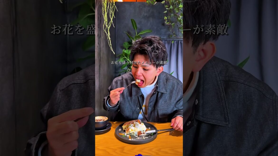 【鹿児島カフェ】指宿市にNewOpen!!お花に囲まれたお洒落カフェ#shorts 【鹿児島カフェ】指宿市にNewOpen!!お花に囲まれたお洒落カフェ#shorts