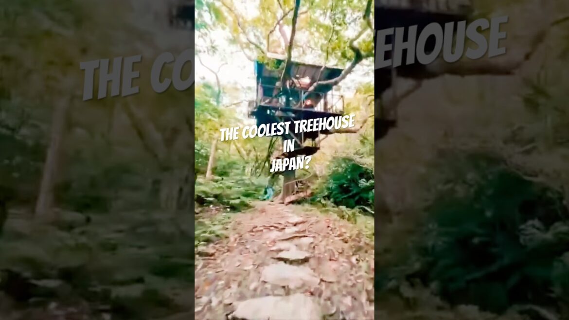 Treeful Treehouse in Okinawa is off the charts cool! #getlostnow #japantravel #japan #treehouse