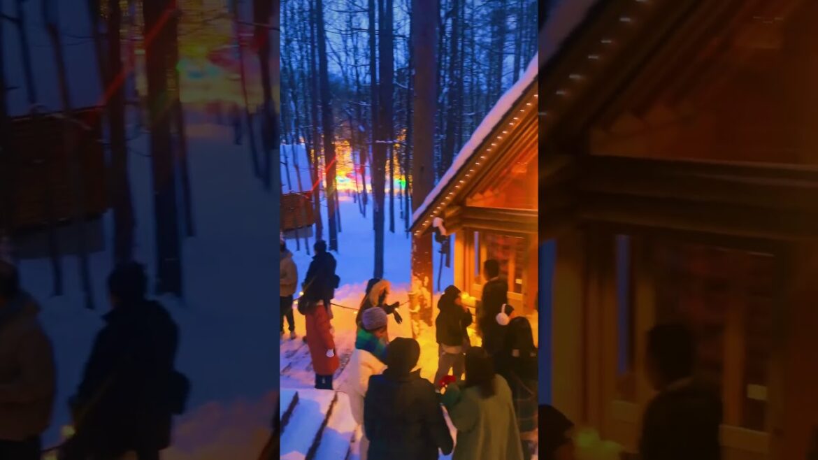 Ningle Terrace /ニングルテラス #travel #japan #japantravel #hokkaido #furano #christmas #travel