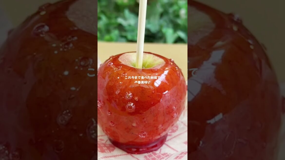 【青森県】『ふじさきまちのりんごあめ』視聴者のおすすめスポットに行くVTuber旅行 #shorts #vtuber #vlog 【青森県】『ふじさきまちのりんごあめ』視聴者のおすすめスポットに行くVTuber旅行 #shorts #vtuber #vlog