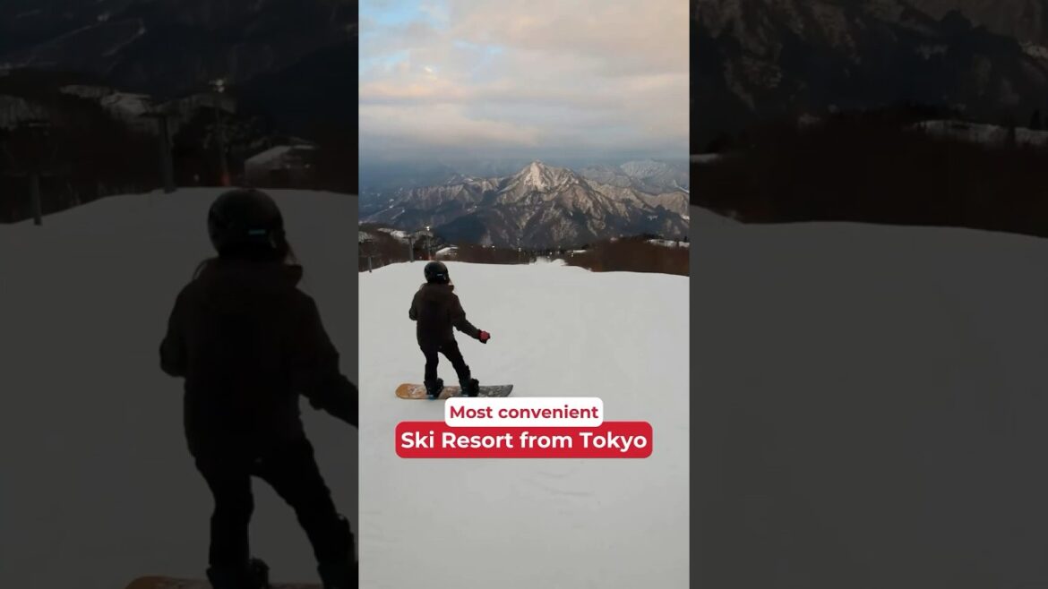 🎿 Perfect Day Trip from Tokyo! Ski and Snowboard in Gala Yuzawa! 🎿 Perfect Day Trip from Tokyo! Ski and Snowboard in Gala Yuzawa!