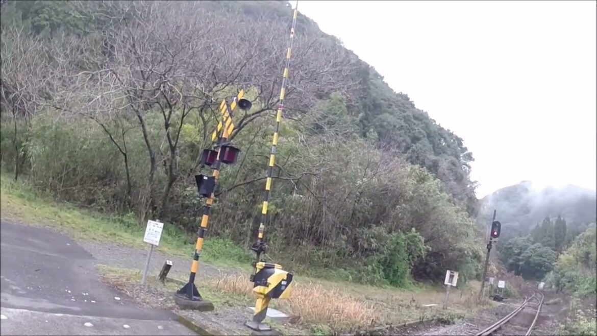 A walk in Kirishima, Kagoshima | 霧島の散歩