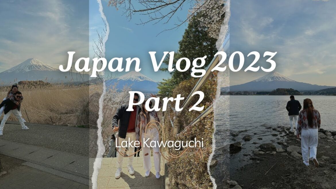 Raw Vlog | Japan Trip 2023 Part 2 – Chureito Pagoda, Lake Kawaguchi, Oishi Park 🇯🇵 Raw Vlog | Japan Trip 2023 Part 2 - Chureito Pagoda, Lake Kawaguchi, Oishi Park 🇯🇵