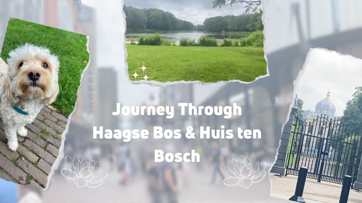Journey Through Haagse Bos & Huis ten Bosch