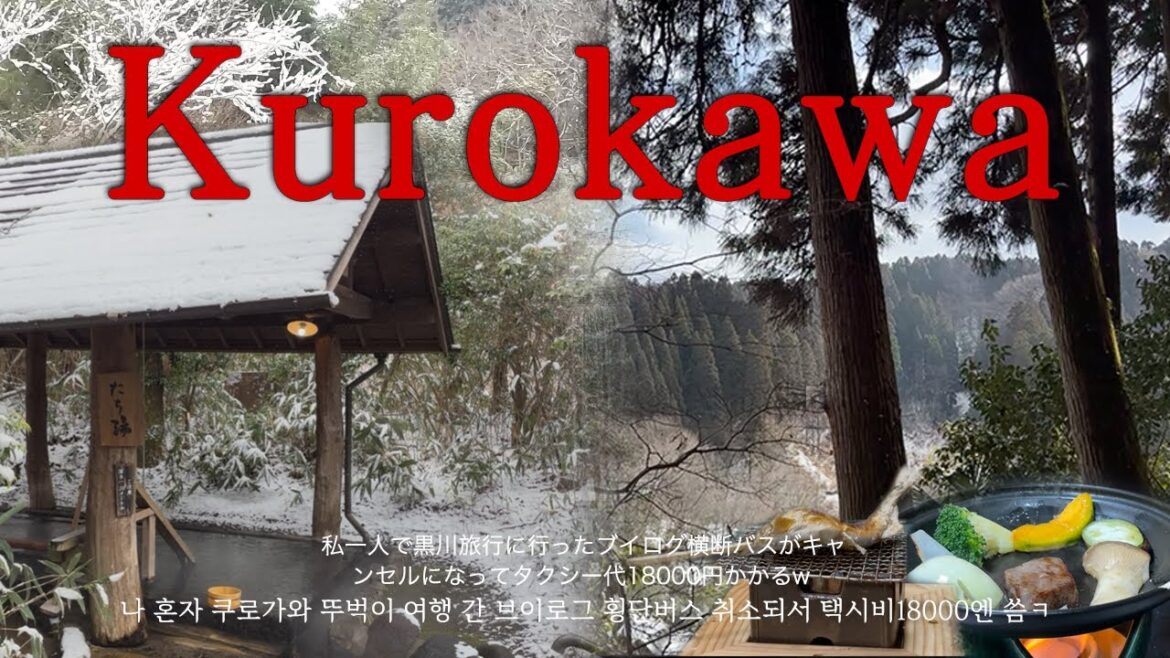 쿠로가와 온천마을 여행 ♨️ 눈 맞으며 온천 패스 1500엔에 3곳 체험 | 료칸 가이세키 | 횡단버스 취소🥲| 일본 뚜벅이 여행 | 나 혼자 일본 구마모토 여행 (3) 쿠로가와 온천마을 여행 ♨️ 눈 맞으며 온천 패스 1500엔에 3곳 체험 | 료칸 가이세키 | 횡단버스 취소🥲| 일본 뚜벅이 여행 | 나 혼자 일본 구마모토 여행 (3)