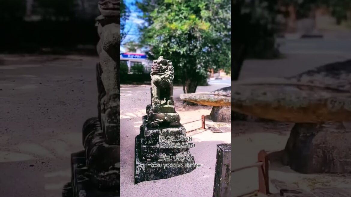 【⛩️鳥栖八坂神社】佐賀県鳥栖市本町#神社好きな人と繋がりたい #神社参拝 #神社仏閣巡り #佐賀県神社 #八坂神社 #狛犬 #鳥居 #鳥栖市
