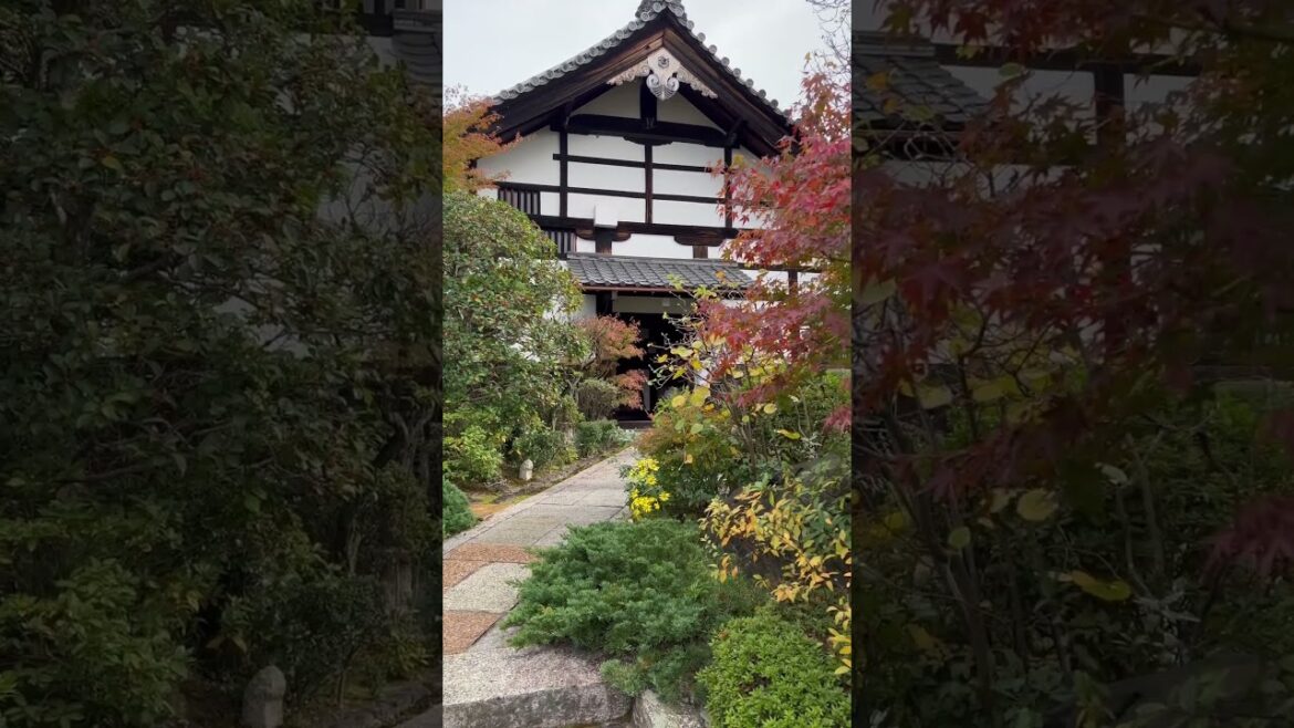 【KYOTO】 Must-See Hidden Gems - Tentoku-in Temple