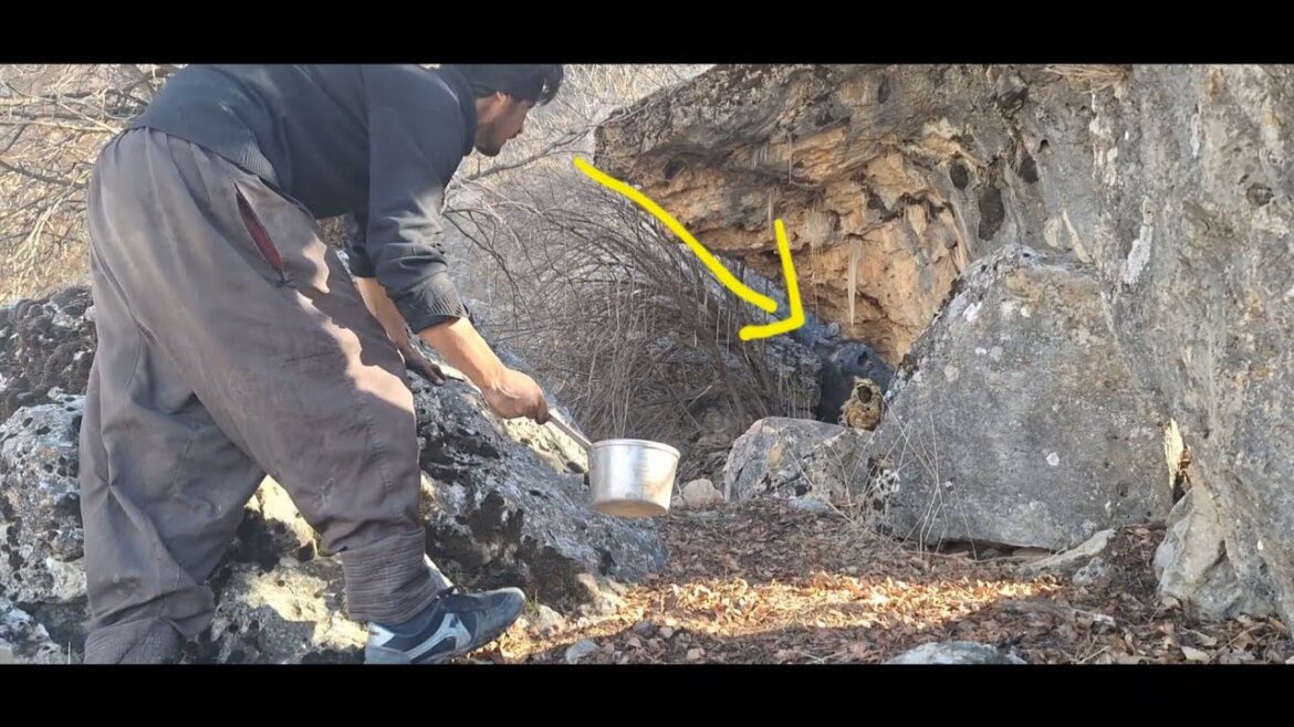 Scary and Amazing moments of Amin helping the wild child. #like #love Scary and Amazing moments of Amin helping the wild child. #like #love