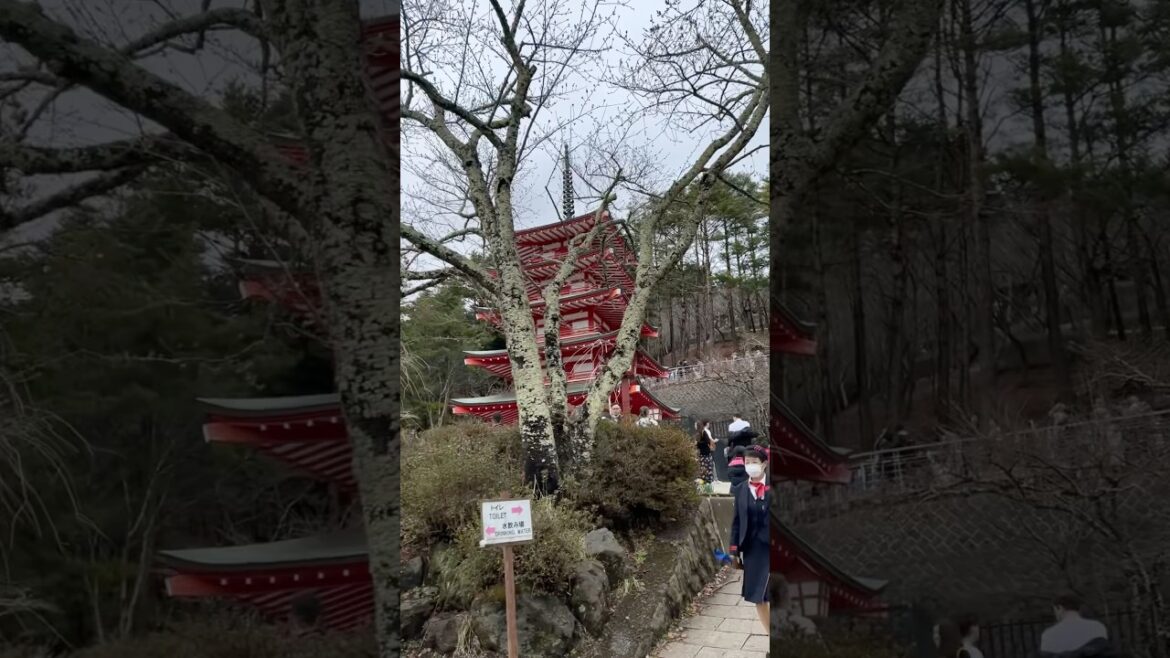 Arakurayama Sengen Park - Fujiyoshida - Japan #japan #solotraveljapan #travel #mtfuji #park