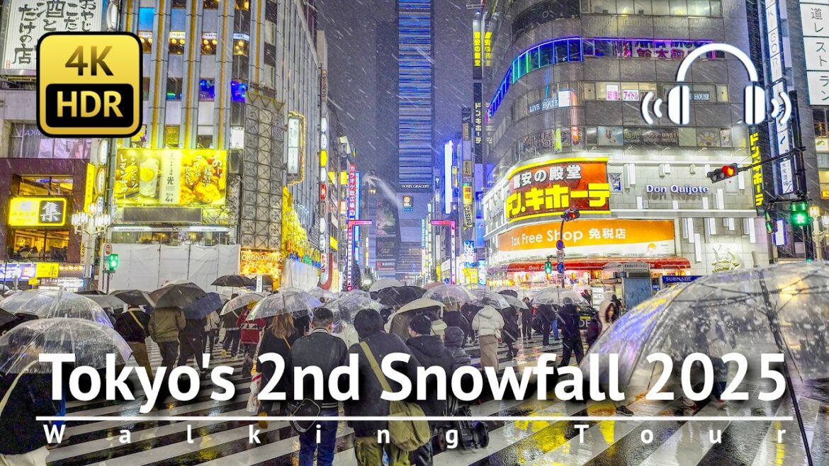 Tokyo's Very Rare 2nd Snowfall of The Year 2025: Snowy Shinjuku Walking Tour [4K/HDR/Binaural]