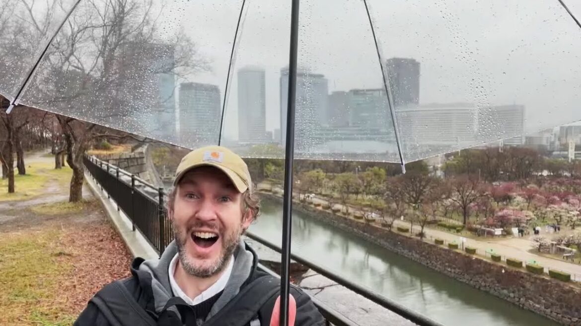 Looking for Plum Blossoms at Osaka Castle Japan