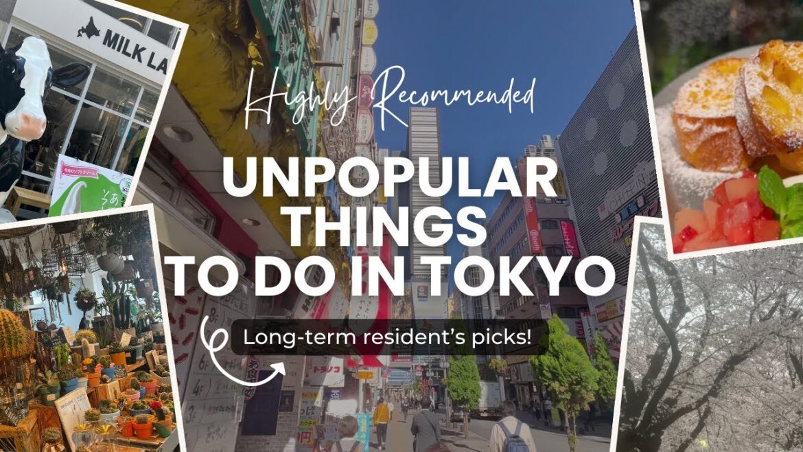 Things to do in Tokyo | Japan Travel | Shinjuku, Shin-Okubo, Jiyugaoka and Omotesando Things to do in Tokyo | Japan Travel | Shinjuku, Shin-Okubo, Jiyugaoka and Omotesando