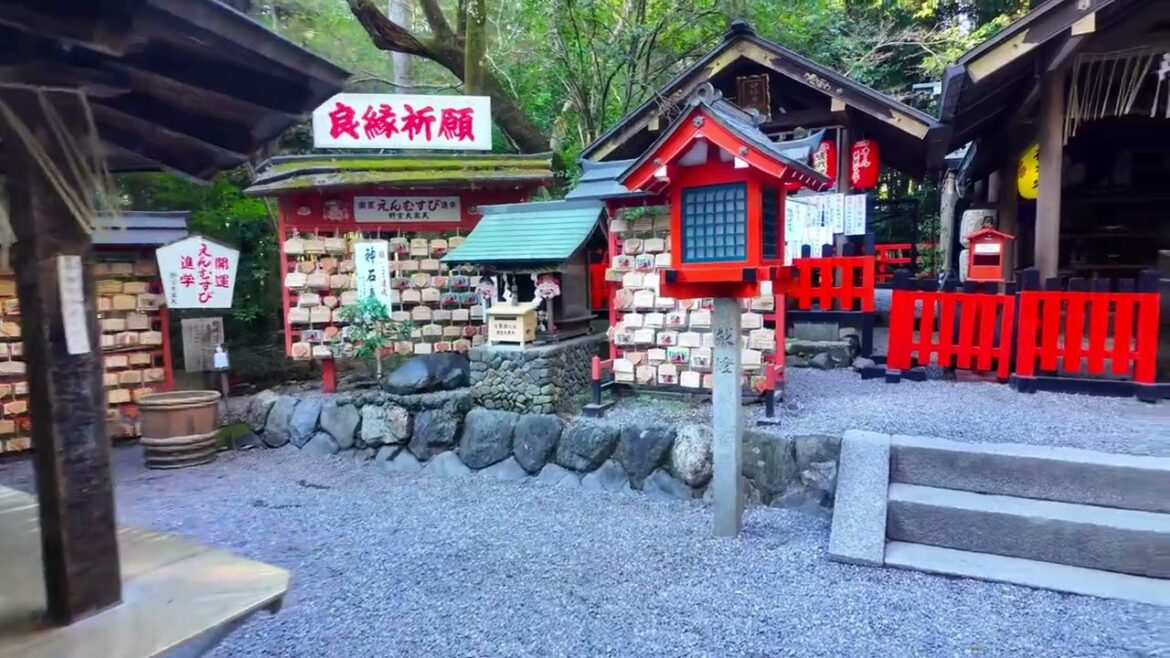 Japan 2025: Ultimate Walking Tour in 4K Japan 2025: Ultimate Walking Tour in 4K