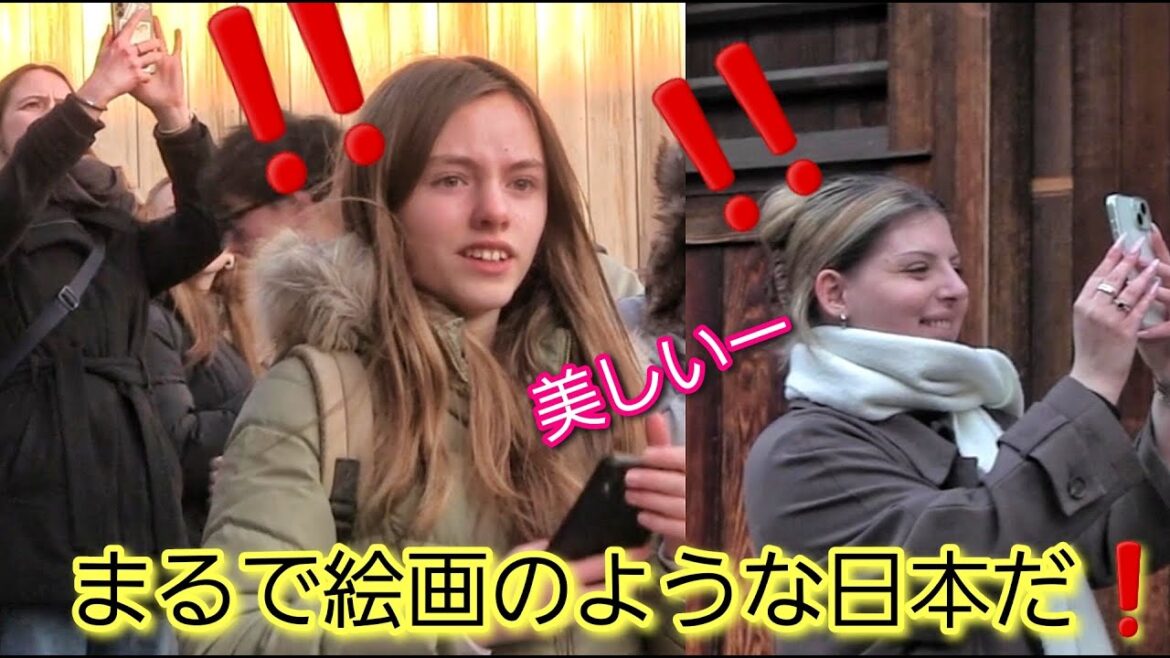 まるで絵画のような日本だ。外国人観光客たちが京都の絶景をみて感動する