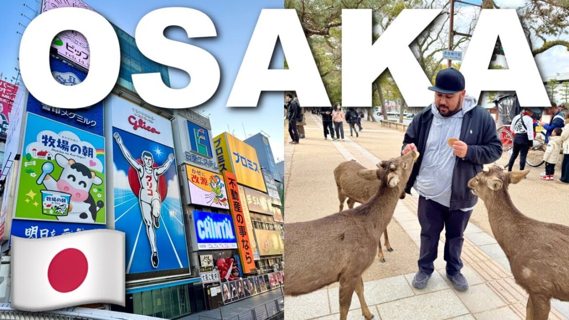 Our INSANE Day In Osaka, Japan! 🇯🇵 Riding The Shinkansen, Feeding Deer In Nara, Dotonbori Food! Our INSANE Day In Osaka, Japan! 🇯🇵 Riding The Shinkansen, Feeding Deer In Nara, Dotonbori Food!