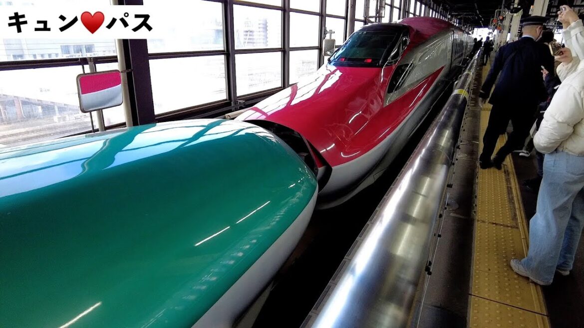 キュンパス モデルコース 片道5000円で青森駅周辺をお得に満喫する方法！浅虫温泉も楽しめる！