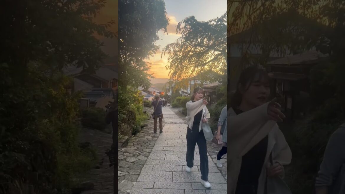 Nakatsugawa#gifu#japantravel