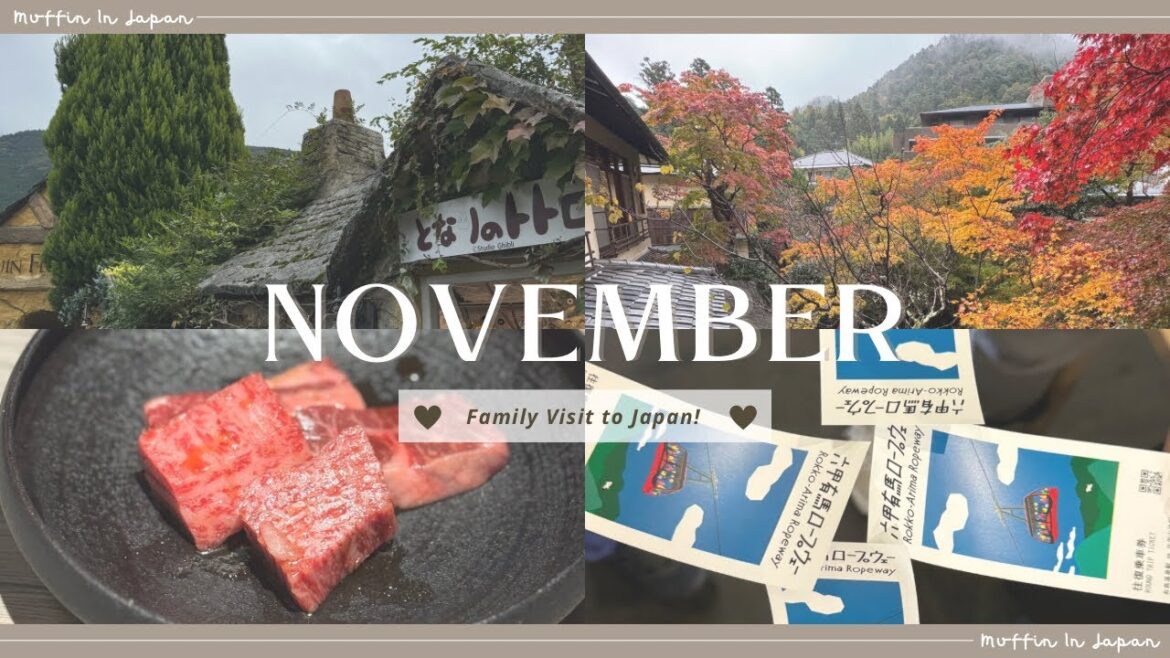 Family Visit to Japan! - November JET ALT Vlog