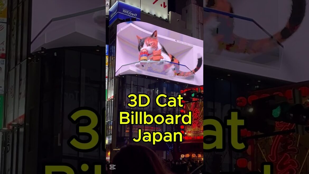 3D Cat Billboard Tokyo Japan π±β¨ #japantravel 3D Cat Billboard Tokyo Japan π±β¨ #japantravel