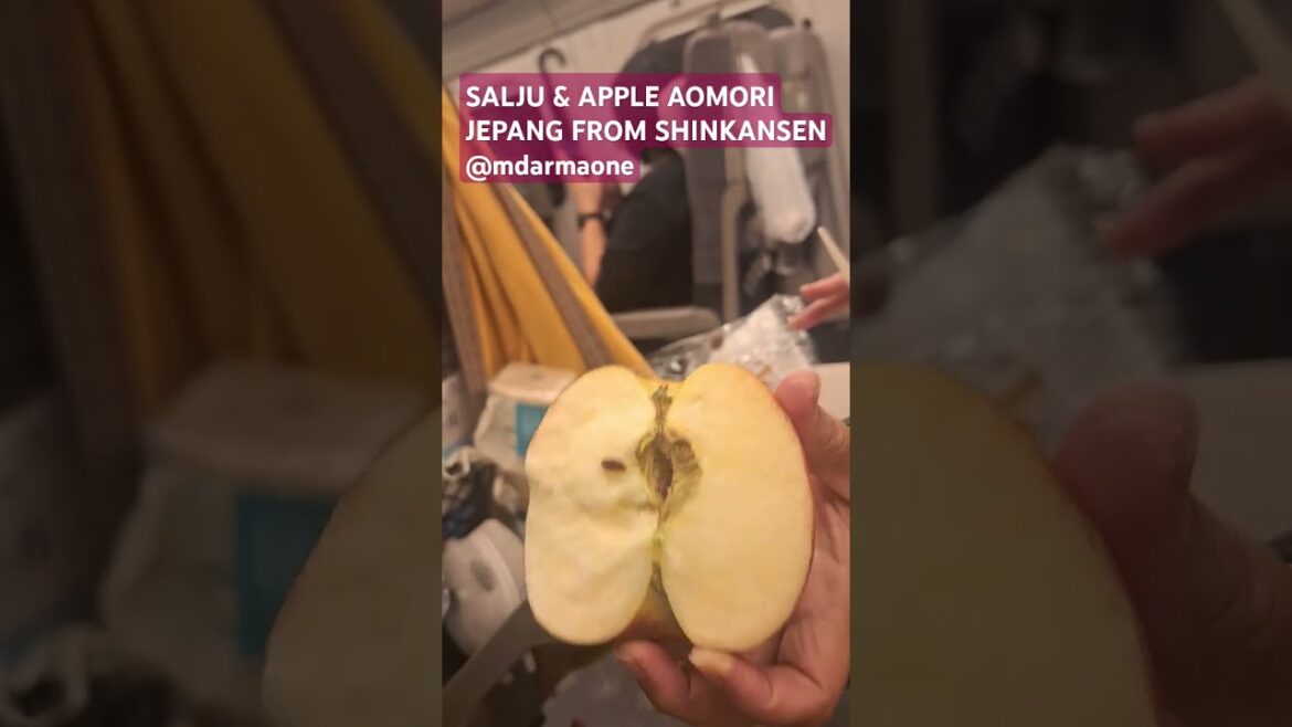 Salju & Apel Aomori Jepang From Kereta Shinkansen #ytshorts #apel #apple #aomori #shinkansen #shorts