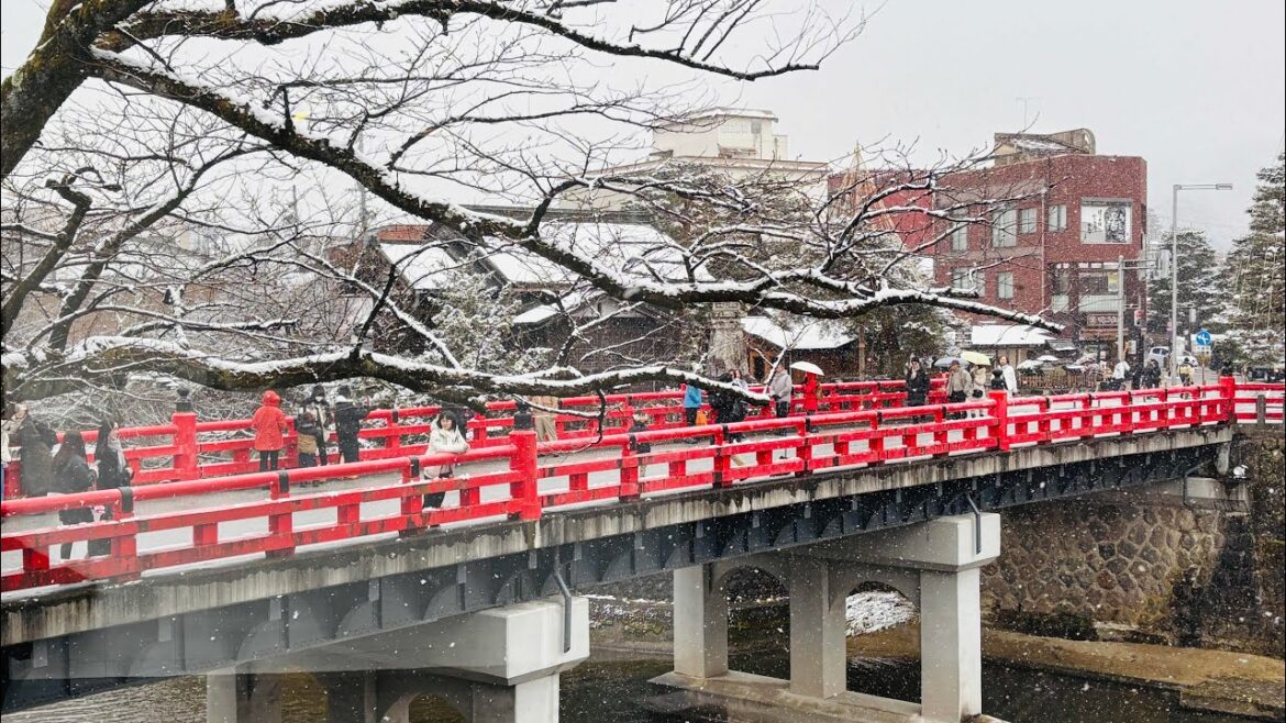 Relive 旅遊全記錄250201-04名古屋-高山-宮川朝市-平湯溫泉-飛驒古川-日枝神社-高山陣屋、貓之月咖啡;朝聖你的名字 Relive 旅遊全記錄250201-04名古屋-高山-宮川朝市-平湯溫泉-飛驒古川-日枝神社-高山陣屋、貓之月咖啡;朝聖你的名字