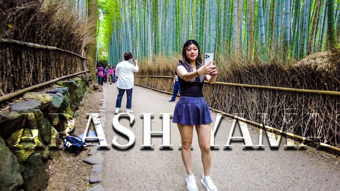 Walking Through Arashiyama Bamboo Forest | 4K  🇯🇵 Kyoto Japan