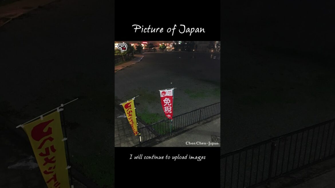JAPAN #shorts #japan #okinawa #4