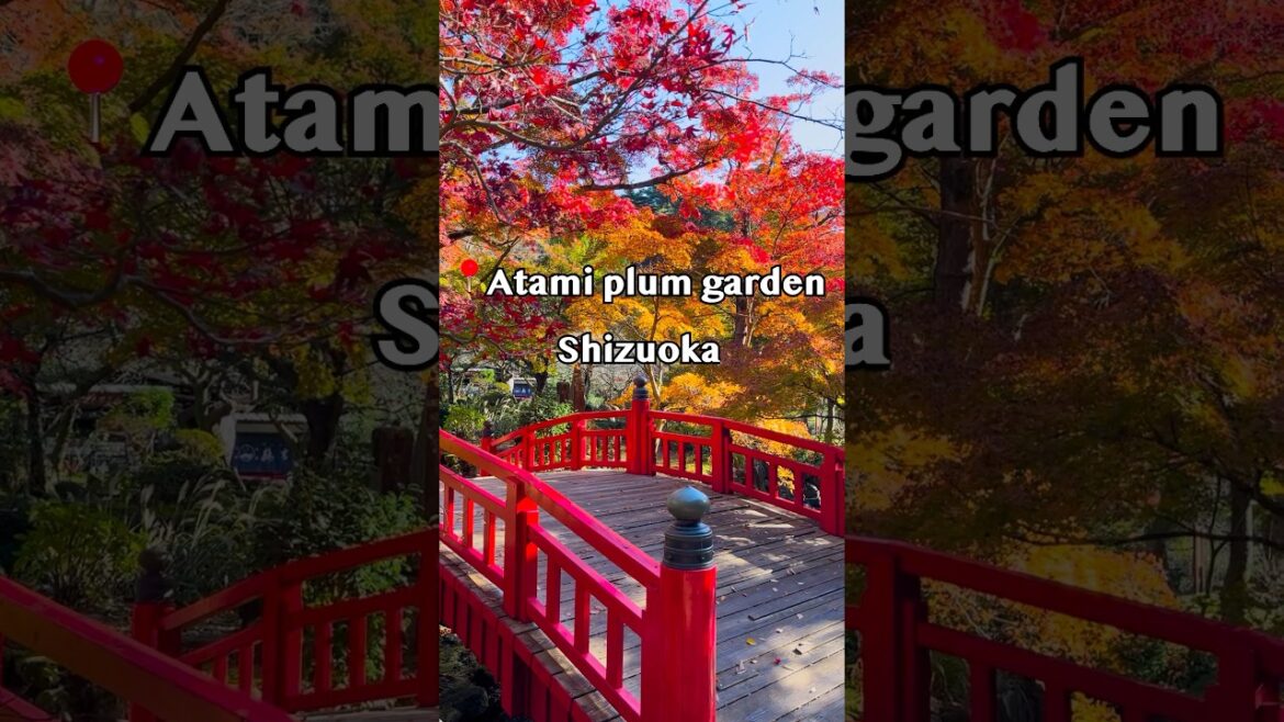 🍁 Atami plum garden - Shizuoka