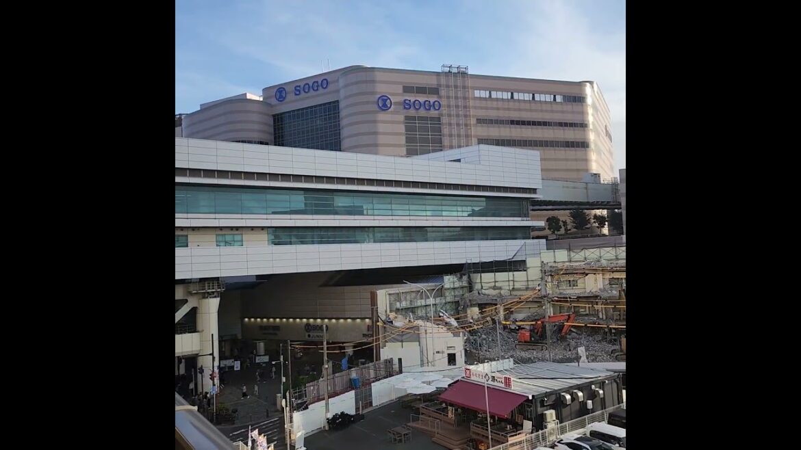JR Chiba station and Chiba Monorail 11/2024 #japan #japantravel